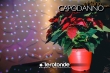 discotecha-le-rotonde
