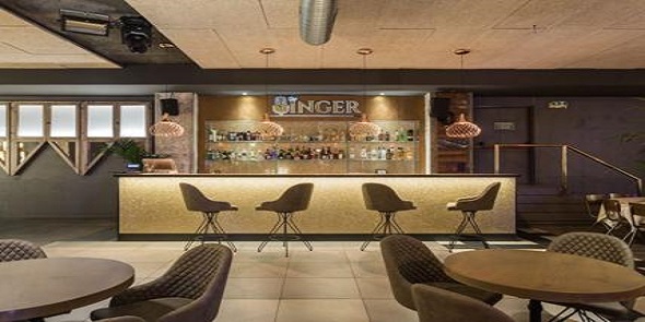 The Singer