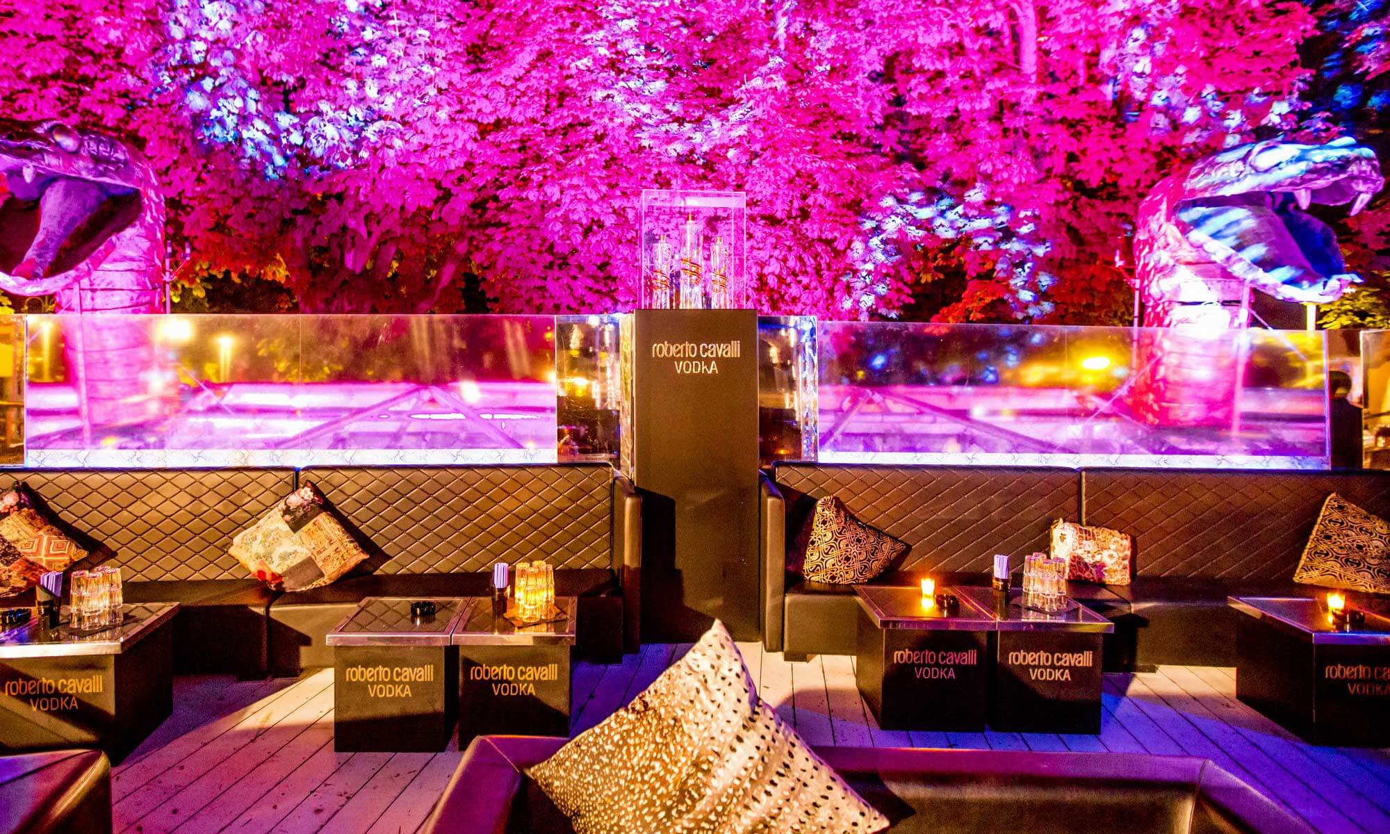 Just Cavalli